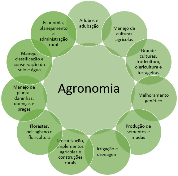 Como fazer o recuo na primeira linha de um parágrafo? Como fazer o recuo na primeira linha de um parágrafo?