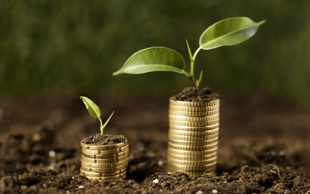 Economia verde: 4 carreiras voltadas para a questão ambiental 