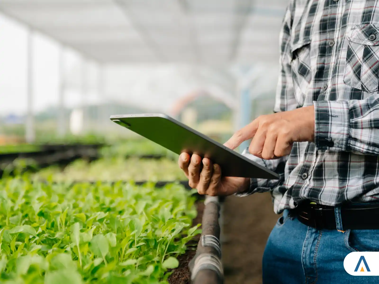 Descubra as Vantagens e Oportunidades do Curso de Agronomia na UniBRAS ...